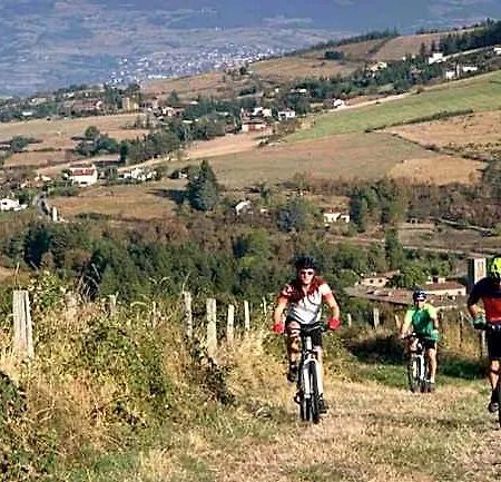 Les Rouardes Sainte-Croix-en-Jarez